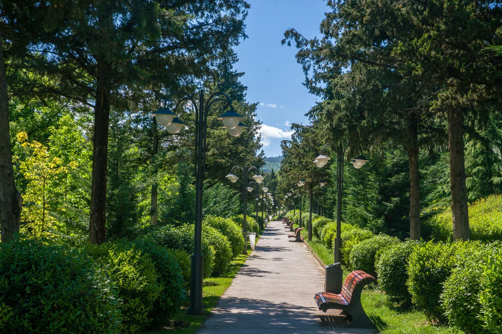 Vake Park - lối đi bộ xanh giữa cây cối